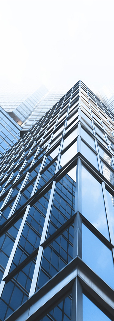 中鼎國(guó)際 中鼎國(guó)際