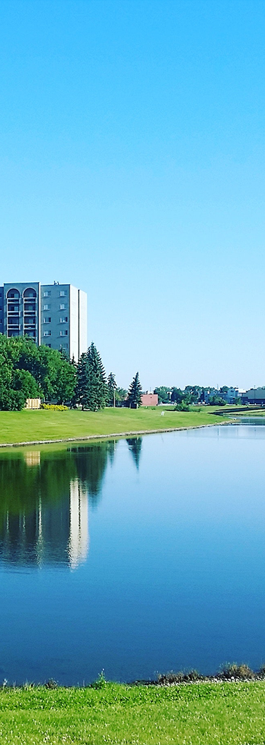 中鼎國(guó)際 中鼎國(guó)際